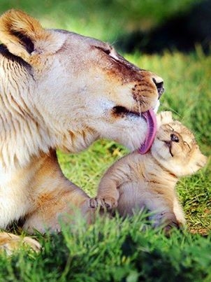 Aww, Mom I'm Clean!!