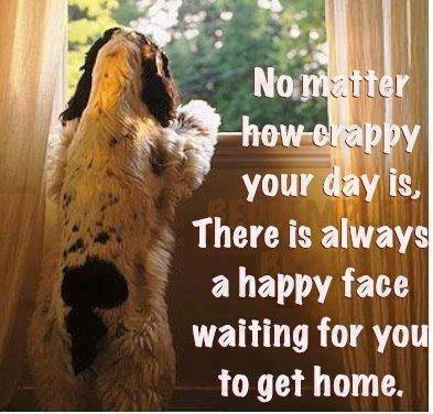 no matter how crappy your day is