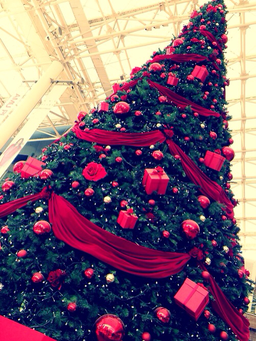 Huge christmas tree Huge christmas tree