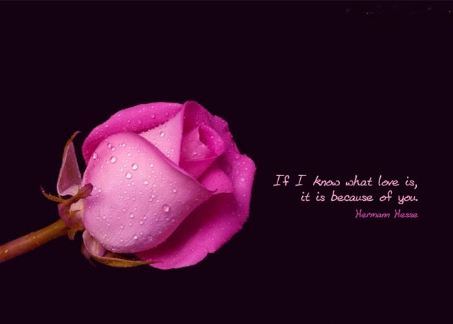 What love is