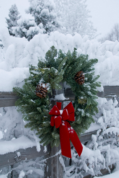 Pinecone wreath Pinecone wreath