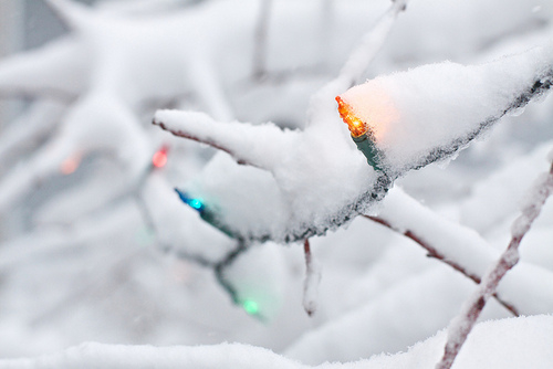 Lights in the snow Lights in the snow