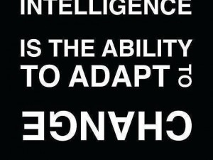 Intelligence can change Intelligence can change