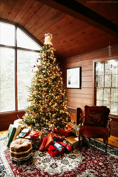 Beautiful decorated tree Beautiful decorated tree