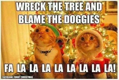 Blame the Doggies Blame the Doggies