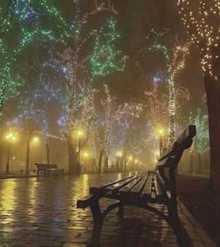 Light Up Your Life!! Light Up Your Life!!