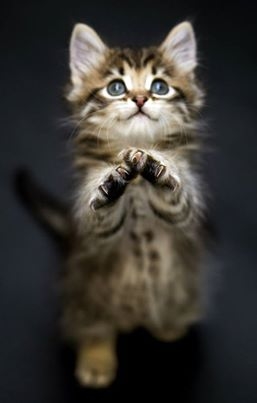 "I Promise, I'm Sorry!! "I Promise, I'm Sorry!!