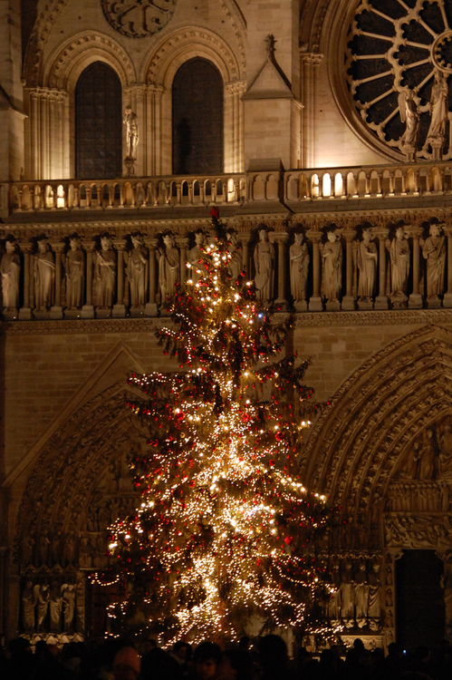 Christmas Tree in Paris Christmas Tree in Paris