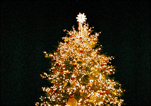 Christmas Tree