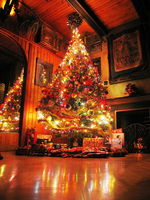 Christmas Tree Colors