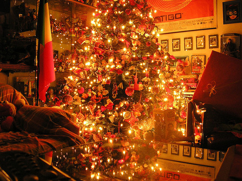 Lit christmas tree
