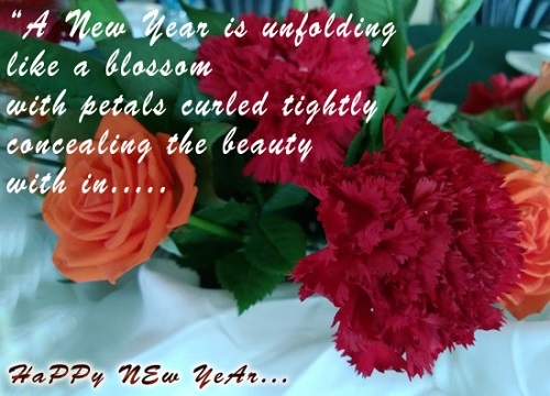 Happy New Year