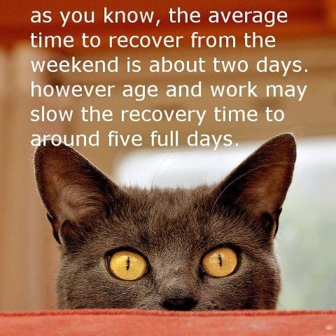 weekend recovery