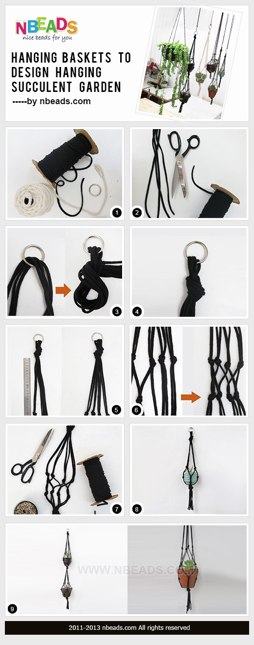 Hanging Baskets to Design Hanging Succulent Garden