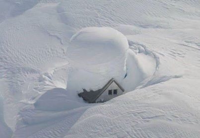 Snowed In 2 The Max!!! Snowed In 2 The Max!!!