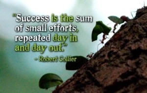Success is the sum of small efforts