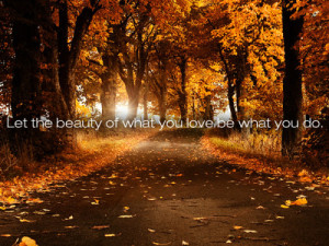 The beauty of what you love