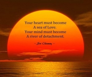 A sea of love