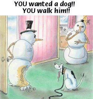 walk the dog walk the dog
