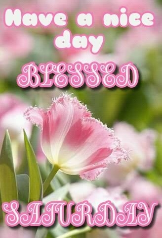 Have a blessed Saturday