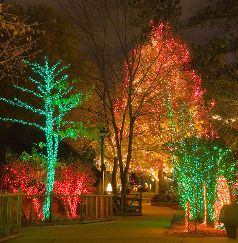 Christmas LED Lights