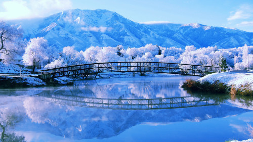 Perfect winter lake