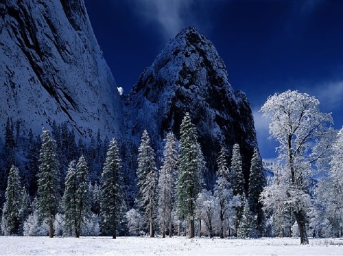 Dark winter