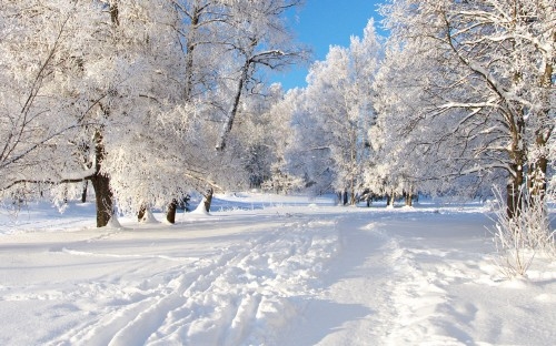 A winter setting A winter setting