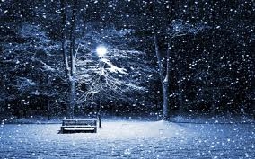 Winter night