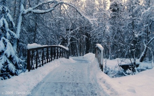 Snow trail Snow trail