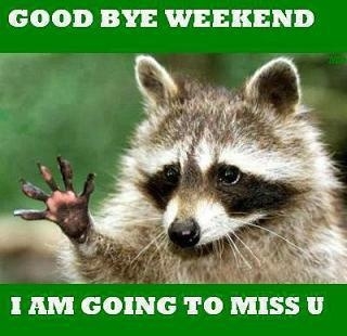 Goodbye weekend Goodbye weekend