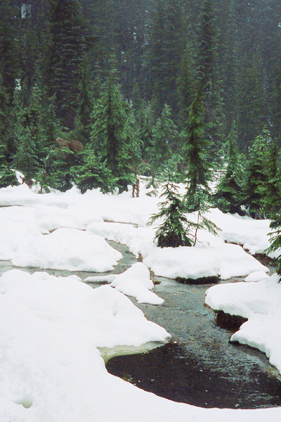 Snowy stream Snowy stream