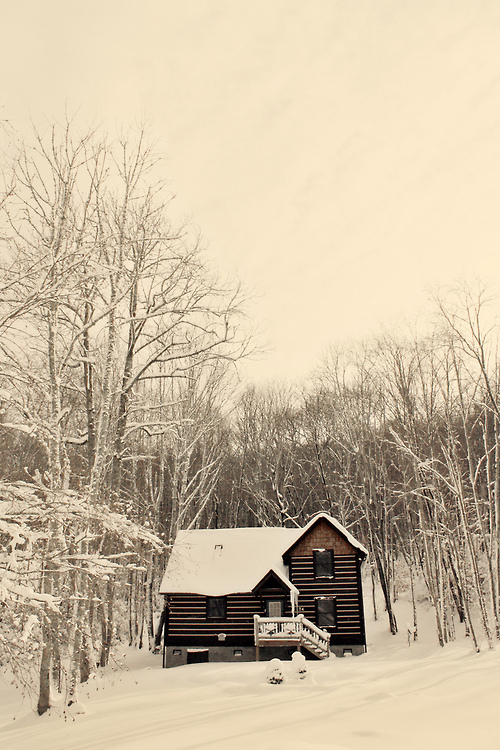 Little house in the woods