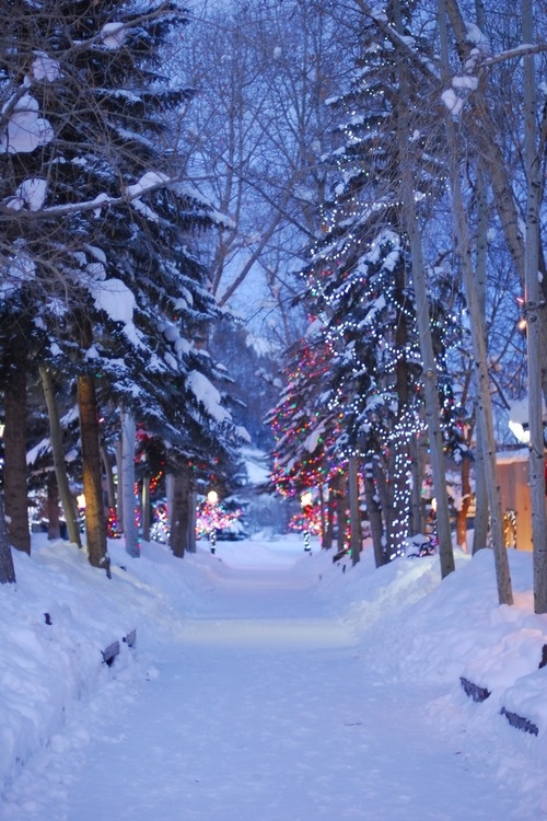 Christmas lights outdoors