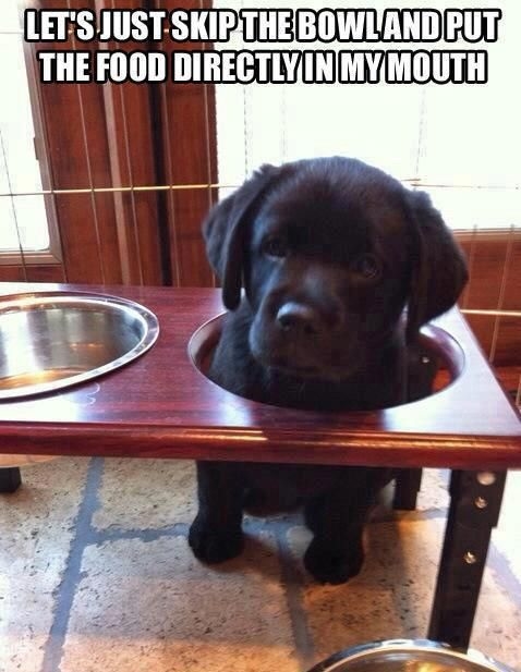 Lets skip the bowl