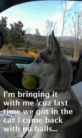 Im bringing it Im bringing it