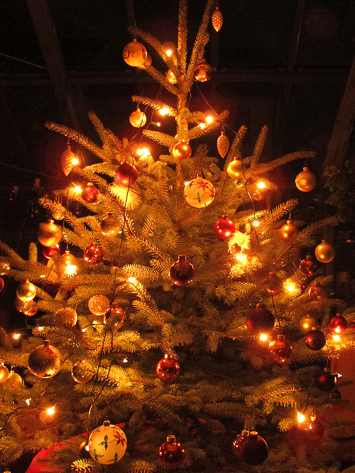 Lit christmas tree Lit christmas tree