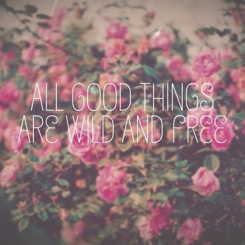 All good things are wild and free All good things are wild and free