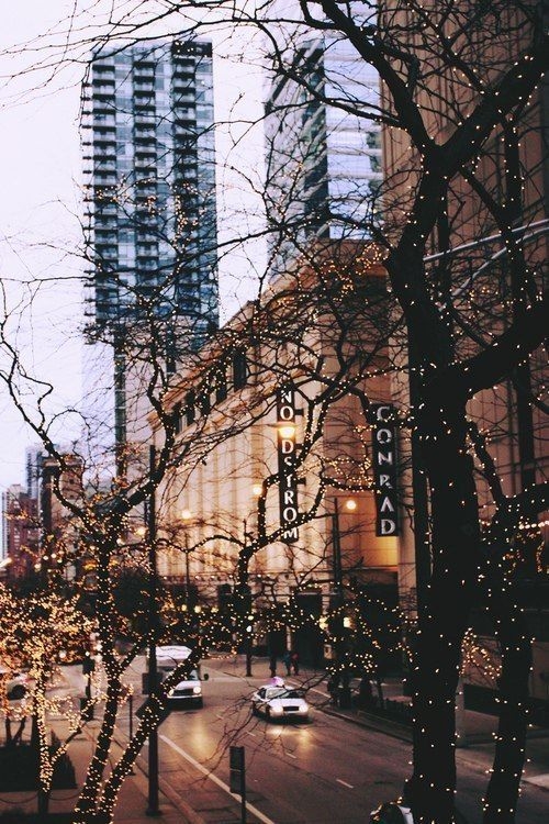 Tree lights Tree lights