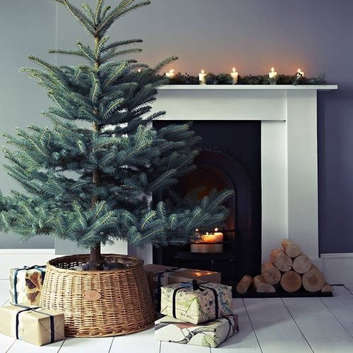 Small christmas tree