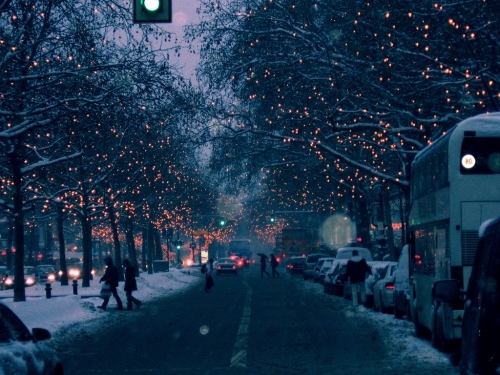 Christmas Lights Christmas Lights