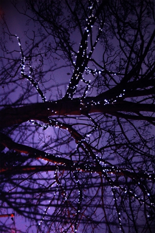 Night lights