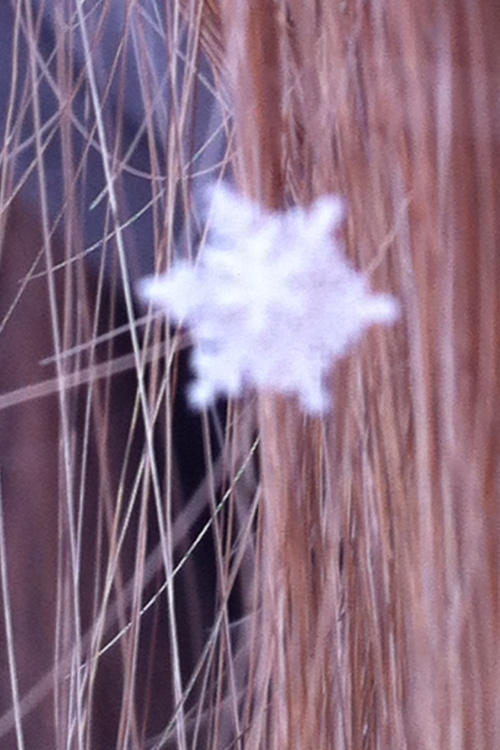 Snowflake