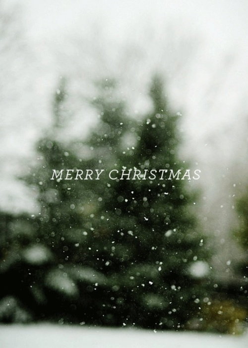 Merry Christmas