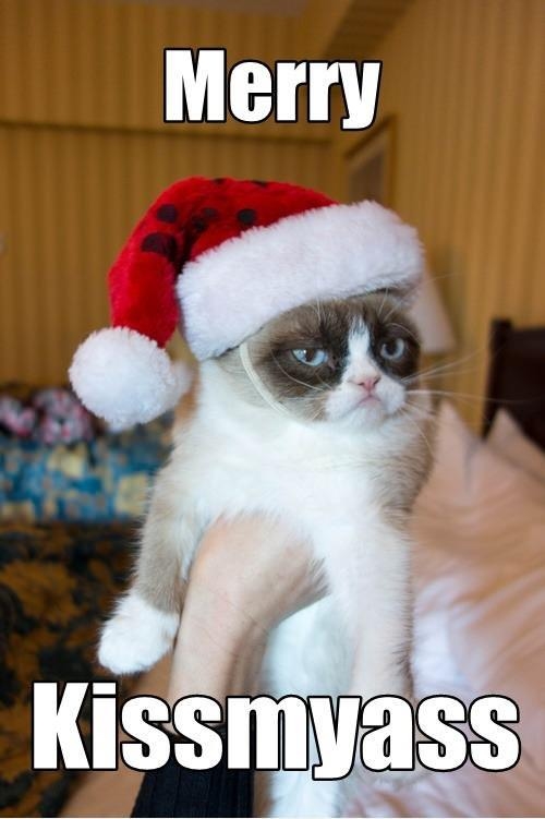 Merry Kissmyass Merry Kissmyass