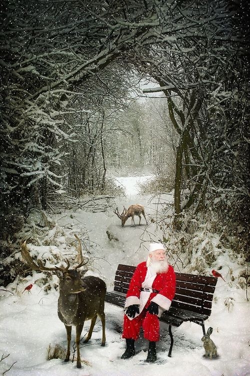 Santa Break