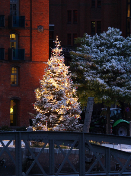 White Christmas Tree