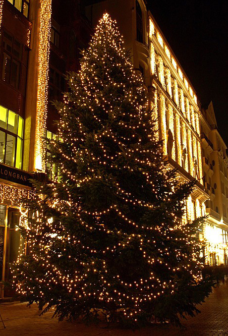 Christmas Tree with Lights Christmas Tree with Lights