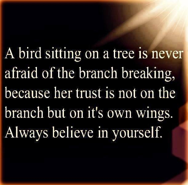 a bird sitting on a tree