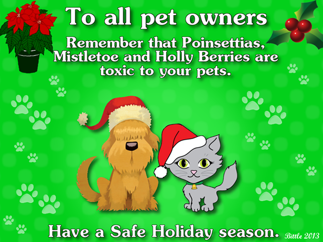 To all pet owners
